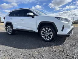 2020 Toyota RAV4 Cruiser Petrol