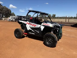 2019 Polaris RZR Petrol (EX CORPORATE PASTORAL)