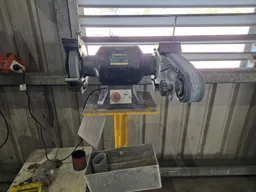 Pedestal Grinder & Linisher
