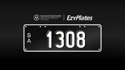 Exclusive Numeric Plate "1308"