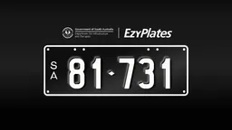 Exclusive Numeric Plate "81-731"