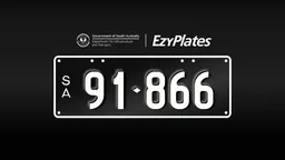 Exclusive Numeric Plate "91-866"