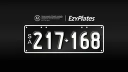 Exclusive Numeric Plate "217-168"
