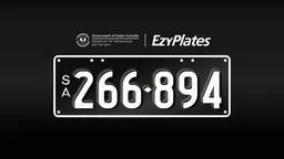 Exclusive Numeric Plate "266-894"
