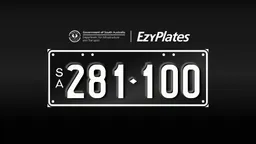 Exclusive Numeric Plate "281-100"