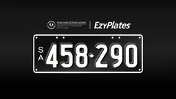 Exclusive Numeric Plate "458-290"